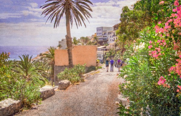 Three people walking toward a mountain village surrounded by magenta flowers