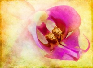 Surreal colourful flower painting representing Duality Hack 3: Seeing duality as symbols of non-duality