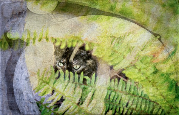 Cat head seen through a pattern of green leaves illustrating a puzzle with a missing piece