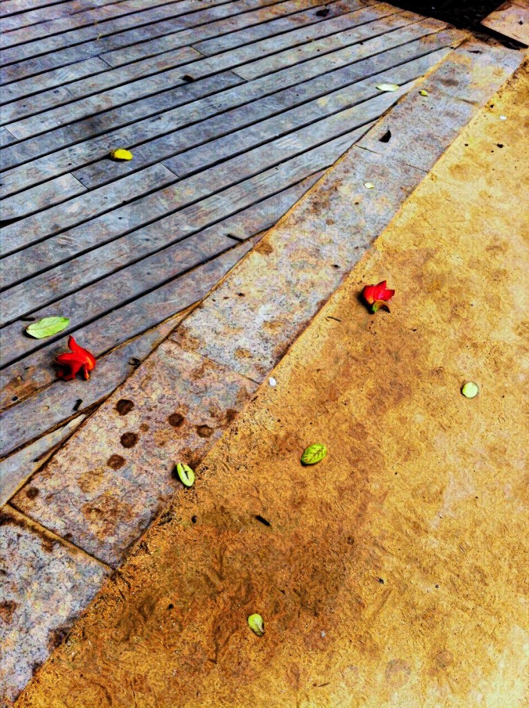 Abstract photo of a boardwalk. Its differences do not seem to make a difference, representing a state of not knowing