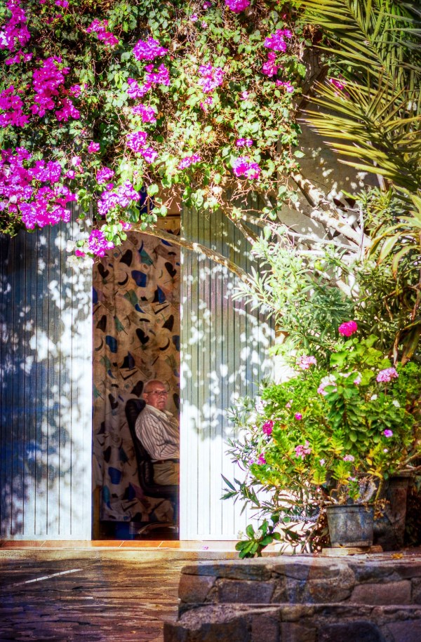 Palm tree and magenta flowers in the foreground with an elderly man sitting inside his home doorway