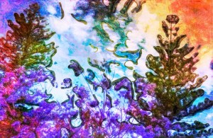 Amusing colourful surreal nature painting representing Duality Hack 6: Happiness is being in touch with brain