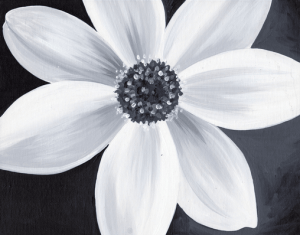 every experience comes in pairs, fx black and white