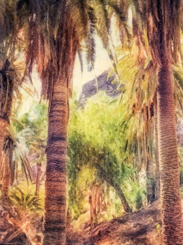 Soft painterly picture of palm trees and rich greenery with a mountain background