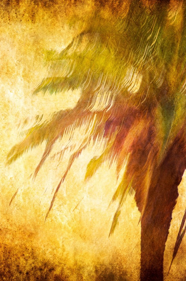 Softly blurred and highly colourful photo of a palm tree blowing in strong winds
