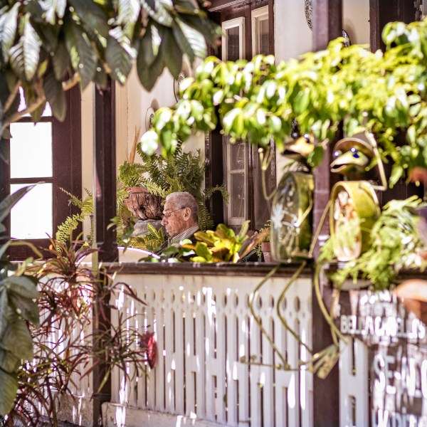 An elderly man sitting outside in front of his house covered by green plants
