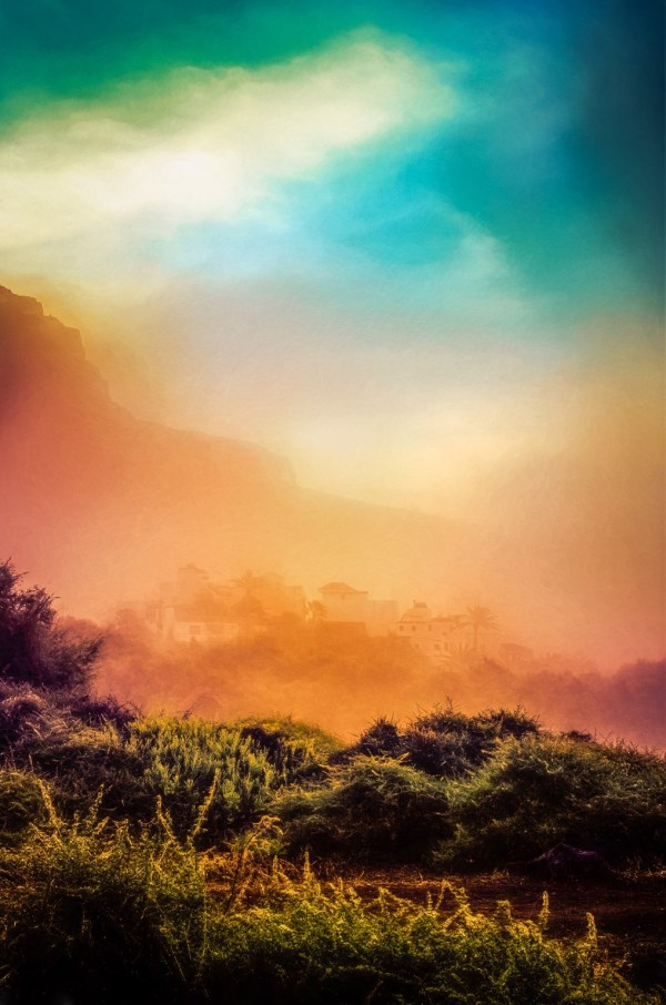 Vibrant green bushes in the foreground with heavy fog blurring out the background