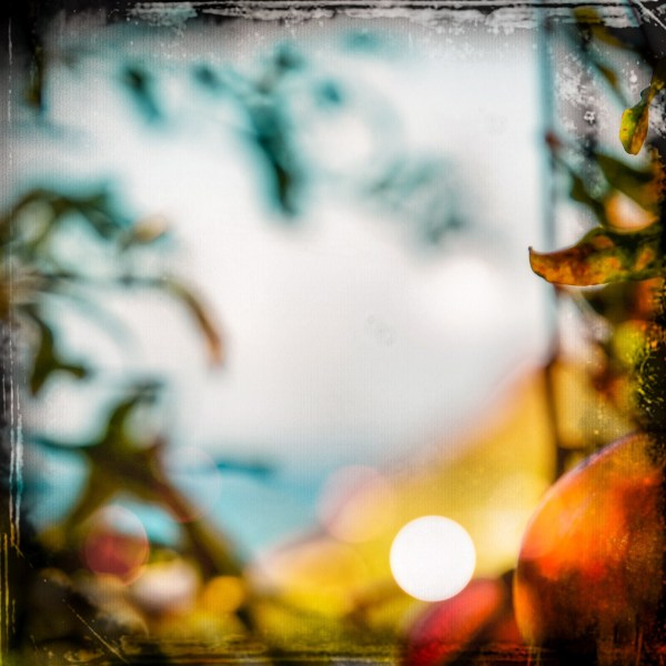 Softly blurred photo of a landscape rendering a completely unpredictable visual scene