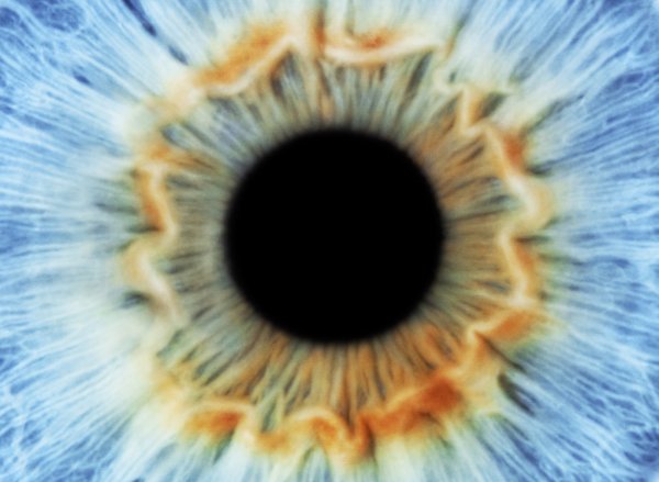 the abstract world of the inward-facing senses opens up, when he world of the outward-facing senses becomes blurry