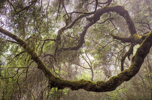 the intimacy of oneness