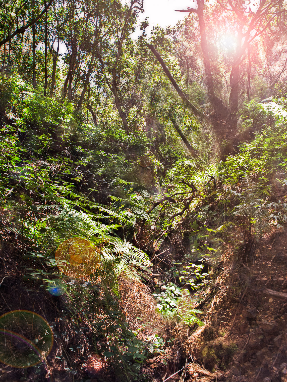 How to Experience Every Moment as the Perfect Moment